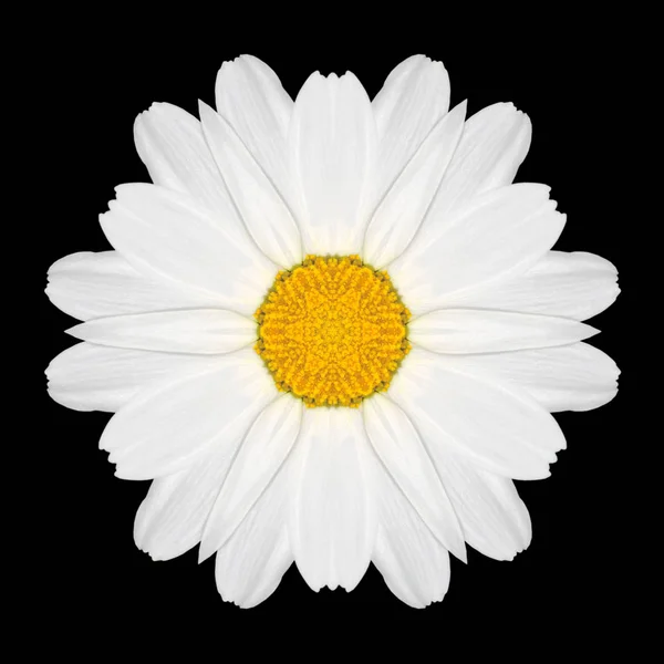 Caleidoscopio de Mandala de flor blanca aislado en negro — Foto de Stock