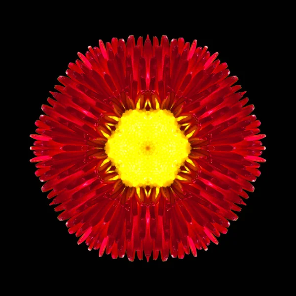 Czerwony kwiat mandali Kalejdoskop na czarnym tle — Zdjęcie stockowe