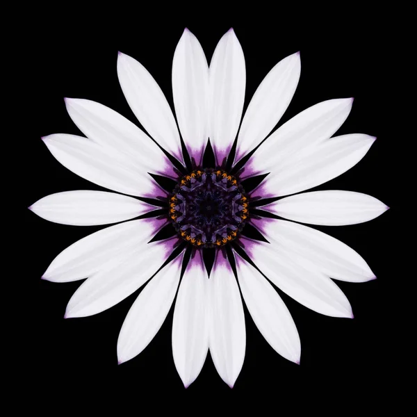 Caleidoscopio Mandala fiore bianco isolato su nero — Foto Stock