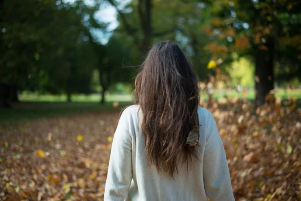 Ragazza dai capelli lunghi al parco tra le foglie cadenti in autunno Immagine Stock