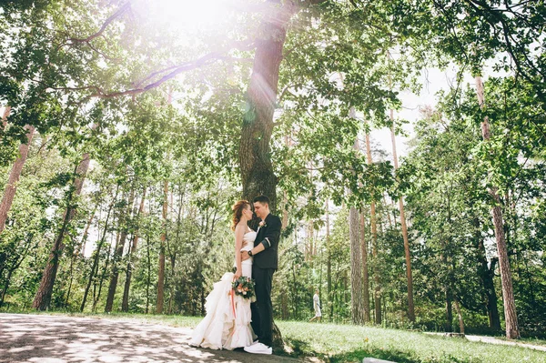 Małżeństwo, przytulanie siebie w pobliżu drzewa — Zdjęcie stockowe