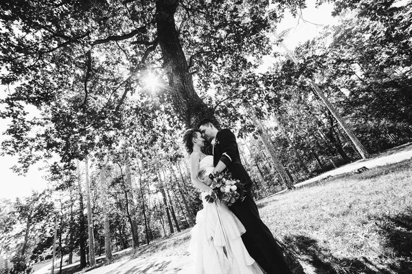 คู่แต่งงานกอดกันใกล้ต้นไม้ — ภาพถ่ายสต็อก