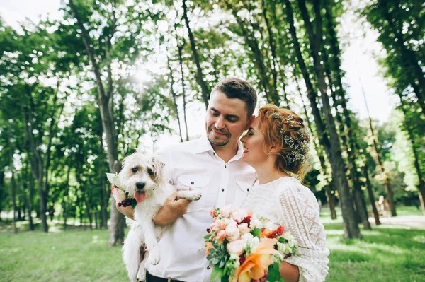 Bruden och brudgummen med hund i händer — Stockfoto