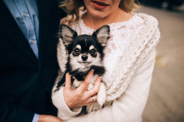 Gelin holding köpek elleri