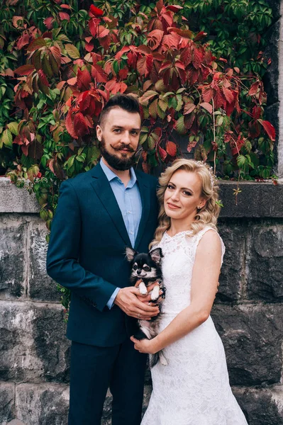 Pareja casada posando con perro en el parque — Foto de Stock