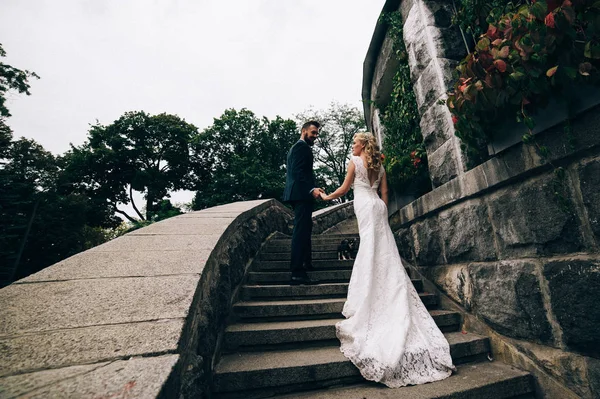 Novia y novio caminando arriba — Foto de Stock