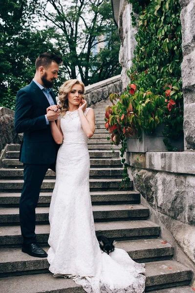 Novia y novio posando en las escaleras — Foto de Stock