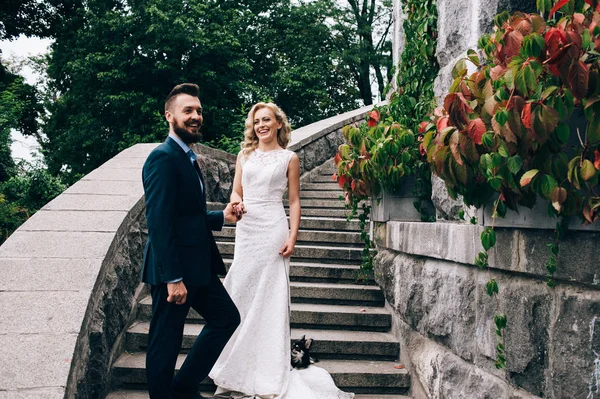 Bruid en bruidegom poseren op trappen — Stockfoto