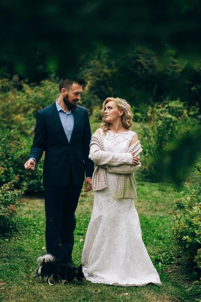 Pareja casada con perro en el campo — Foto de Stock