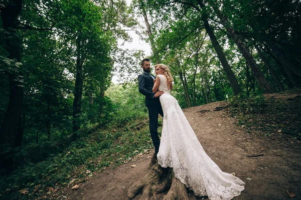 Bruid en bruidegom staan in bos — Stockfoto
