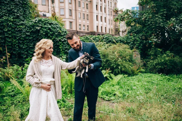 Pareja casada divirtiéndose con perro — Foto de Stock