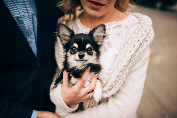 Gelin holding köpek elleri