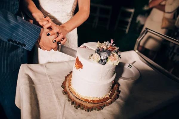 Braut und Bräutigam schneiden Stück Hochzeitstorte an — Stockfoto
