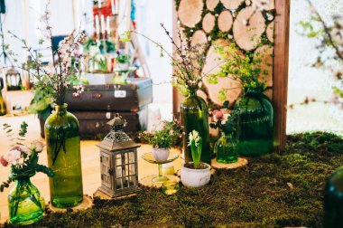 Bitkiler şişelerde çimenlerin üzerinde  