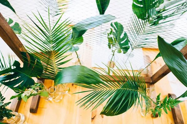 Düğün dekorasyon olarak bitkiler