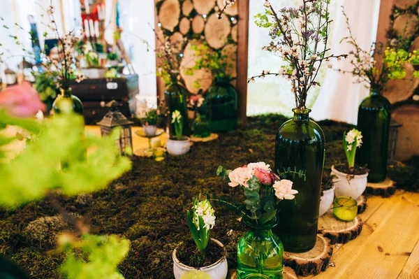 Bitkiler şişelerde çimenlerin üzerinde  