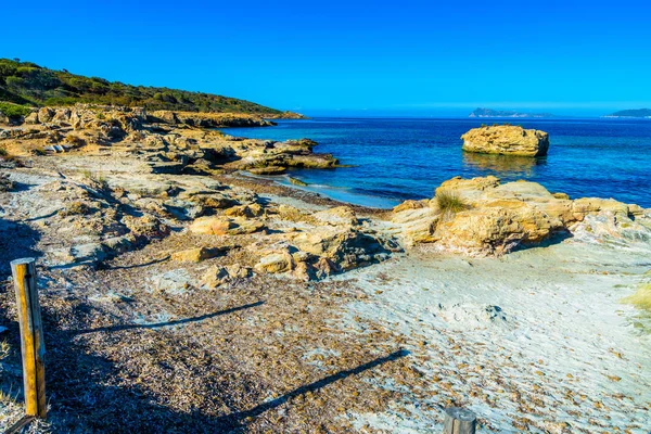 Piscinni besch en el sur de Cerdeña — Foto de Stock