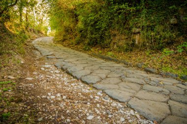 ormanda antik yol