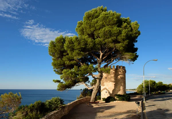 Coastline, pine tree, tower, Miami Platja, Catalunya, Spain — Stock Photo, Image