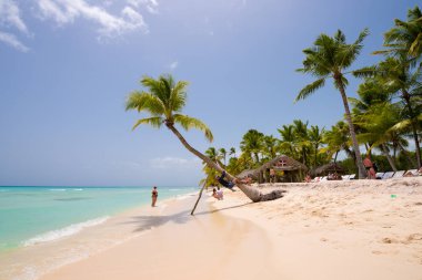 Saona, Dominik Cumhuriyeti - 25 Mayıs 2017: görünümü adanın kumlu plaj. Metin için yer kopyalayın.    