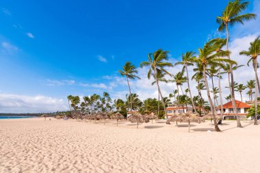 Punta Cana, La Altagracia, Dominik Cumhuriyeti kumlu plaj manzarası. Metin için yer kopyalayın.                       