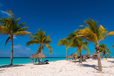 Kumlu plaj Playa Sirena, ada, Cayo Largo, Küba. Metin için yer kopyalayın.