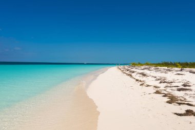 Kumlu plaj Playa cennet, ada, Cayo Largo, Küba. Metin için yer kopyalayın.