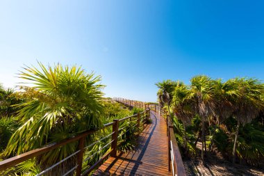 Kumlu plaja Playa cennet, ada, Cayo Largo, Küba köprüye. Metin için yer kopyalayın. 