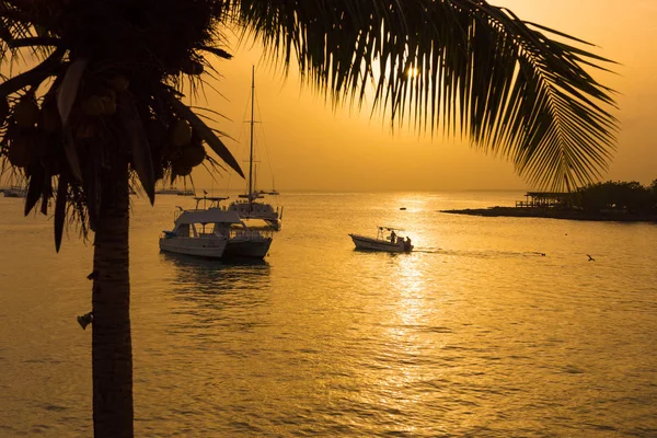 Bayahibe, La Altagracia, Dominik Cumhuriyeti nde Günbatımı koyunda görünümünü. Metin için yer kopyalayın.
