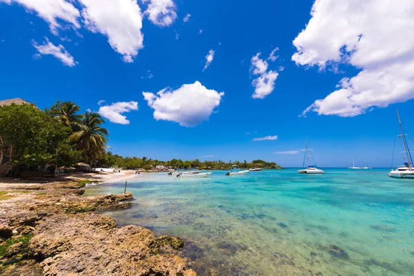 Uitzicht op het stenige strand in Bayahibe, La Altagracia, Dominicaanse Republiek. Ruimte voor tekst kopiëren. — Stockfoto