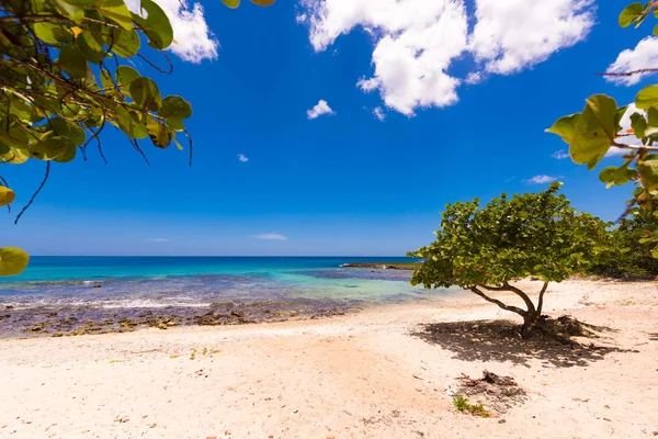 Bayahibe, La Altagracia, Dominik Cumhuriyeti kum Beach'te. Metin için yer kopyalayın.