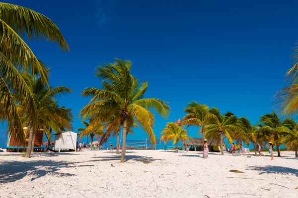 Weißer Sand und Palmen am Strand playa sirena, cayo largo, cuba. Kopierraum für Text. — Stockfoto
