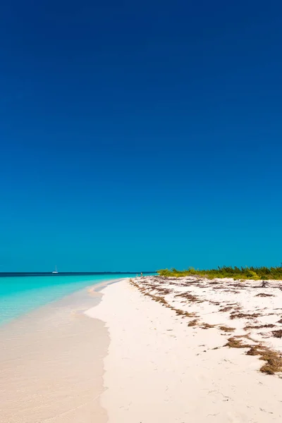 Sandy beach Playa Paradise of the island of Cayo Largo, Cuba. Copy space for text. Vertical. — Stock Photo, Image