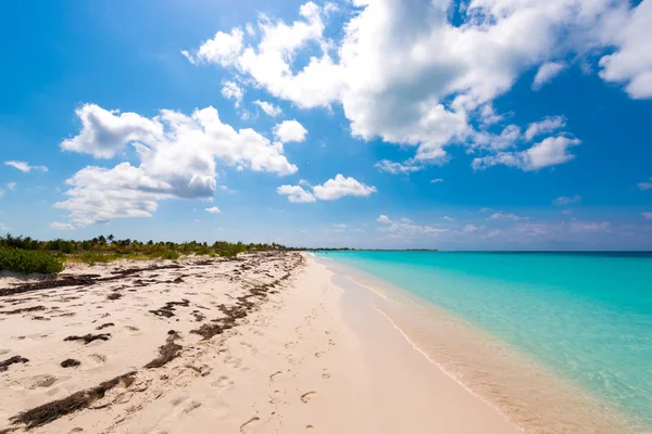 Sandy beach Playa Paradise of the island of Cayo Largo, Cuba. Copy space for text. — Stock Photo, Image