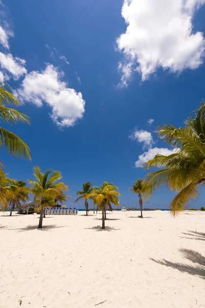 Weißer Sand und Palmen am Strand playa sirena, cayo largo, cuba. Kopierraum für Text. vertikal. — Stockfoto