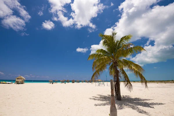 Vita sand och palm träd på stranden Playa Sirena, Cayo Largo, Kuba. Kopiera utrymme för text. — Stockfoto