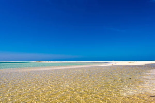 모래 해변 플 라 야 낙원 Cayo Largo, 쿠바의 섬. 텍스트를 위한 공간 복사. — 스톡 사진