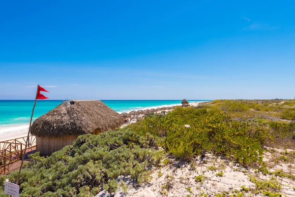 Θέα στην παραλία Playa παράδεισος από το νησί του Cayo Largo, Κούβα. Χώρο αντίγραφο για το κείμενο. — Φωτογραφία Αρχείου