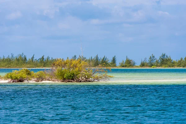 Τοπίο από το νησί του Cayo Largo, Κούβα. Χώρο αντίγραφο για το κείμενο. — Φωτογραφία Αρχείου