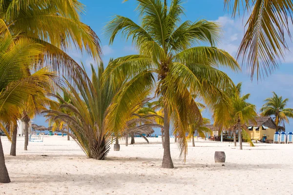 Weißer Sand und Palmen am Strand playa sirena, cayo largo, cuba. — Stockfoto