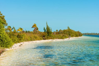 Cayo Largo, Küba plaj dalga yakın çekim. Yakın çekim.