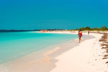 Cayo Largo, Küba - 8 Mayıs 2017: Kumlu plaj Playa cennet. Metin için yer kopyalayın.