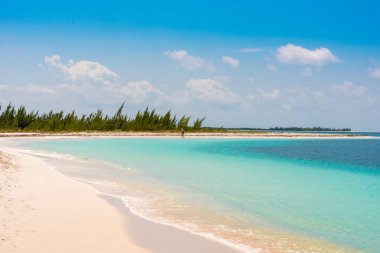Kumlu plaj Playa cennet, ada, Cayo Largo, Küba. Metin için yer kopyalayın.
