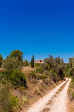 Miravet Kalesi, Tarragona, Catalunya, İspanya'nın sayısı. Metin için yer kopyalayın. Dikey.