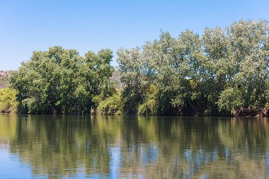 Nehir manzara, Tarragona, Catalunya, İspanya. Metin için yer kopyalayın.