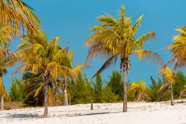 Cayo Largo, Küba plaj dalga yakın çekim. Yakın çekim.