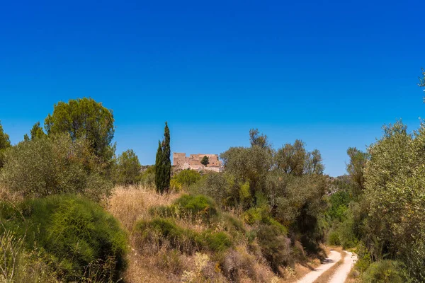 Miravet Kalesi, Tarragona, Catalunya, İspanya'nın sayısı. Metin için yer kopyalayın.