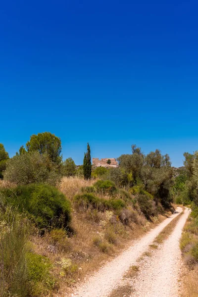 Vistas del castillo de Miravet, Tarragona, Cataluña, España. Copia espacio para texto. Vertical . — Foto de Stock
