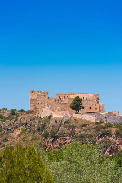 Views of the castle of Miravet, Tarragona, Catalunya, Spain. Copy space for text. Vertical.