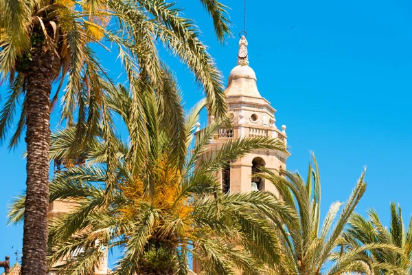 Palmeiras close-up, no fundo uma torre da igreja de Sant Bartomeu e Santa Tecla em Sitges, Barcelona, Catalunha, Espanha. Isolado em fundo azul . — Fotografia de Stock